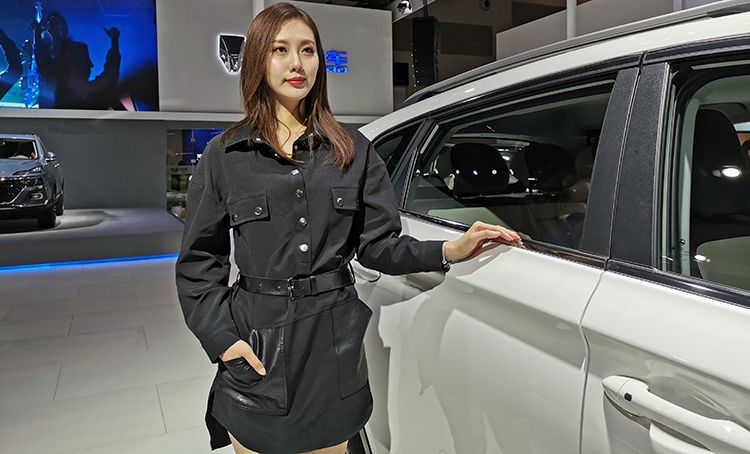 ��������2019���쳵չ��ģ