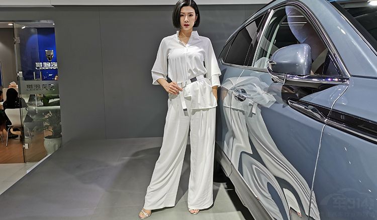 ��������2019���쳵չ��ģ