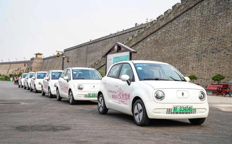 ŷ��Ů�������Battle