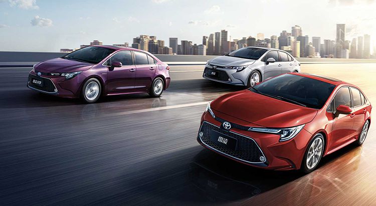 6����ϵƷ��������¯�������ɼ��������⣡