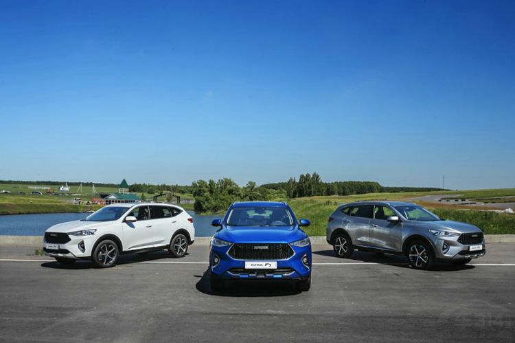 ���Ļ�+ȫ��