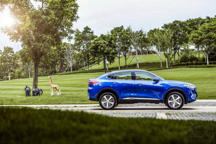 ���Ļ�+ȫ��