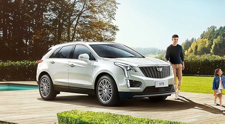 �����������»�����