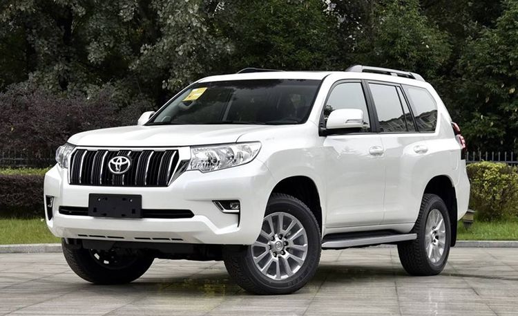 �����������»�����