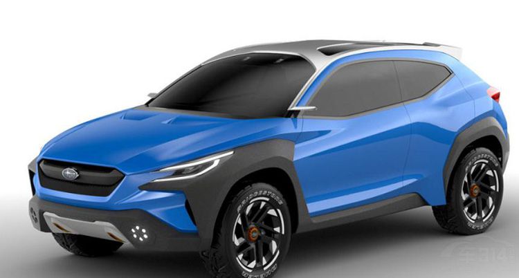 2019�ɶ���չǰհ���⼸�������ܴ���