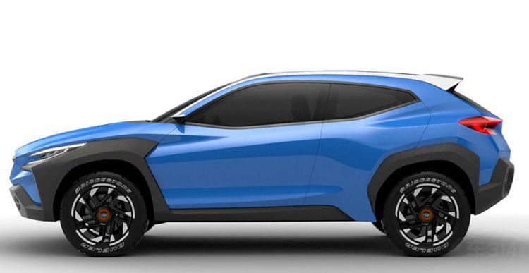 2019�ɶ���չǰհ���⼸�������ܴ���