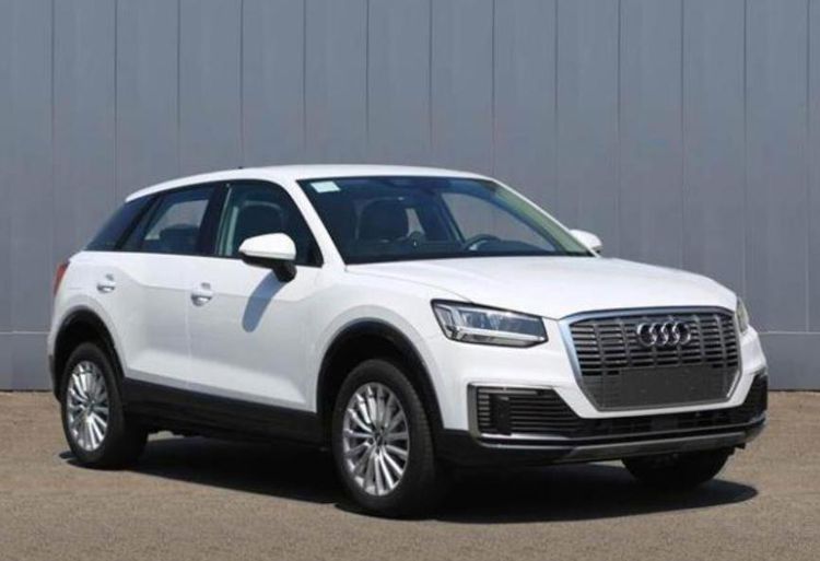 2019���ݳ�չ��ֵ�ÿ��Ĵ��綯SUV�³�