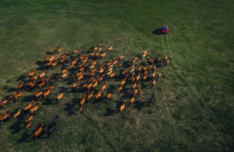 �������2019����������������ھ���������