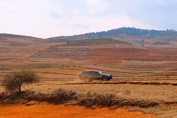 Land