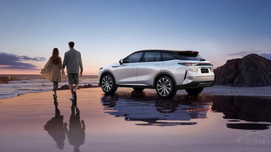 ;C-DM콢SUV