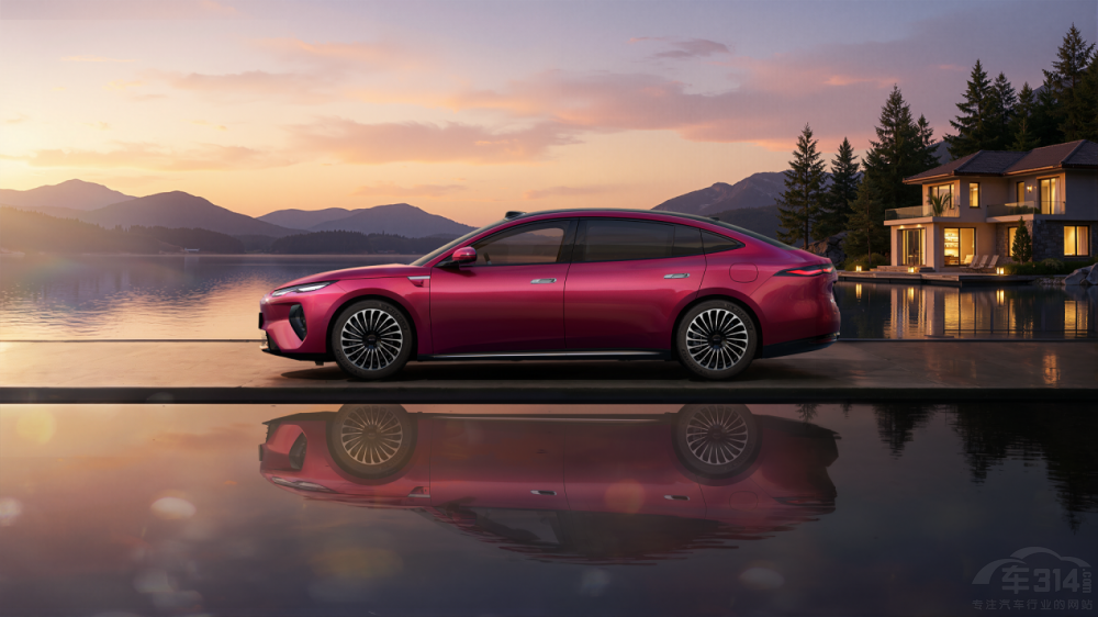 ��ֵ�����������������ǵϺ���08��������