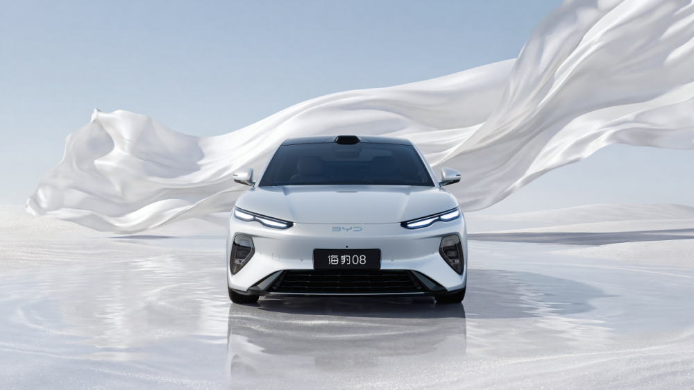 ��ֵ�����������������ǵϺ���08��������