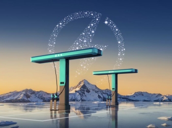 ��˰��Զ�������󣡱��ǵ��걨������ͷ����