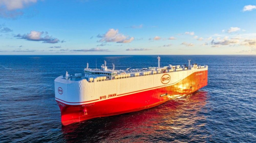 ��˰��Զ�������󣡱��ǵ��걨������ͷ����