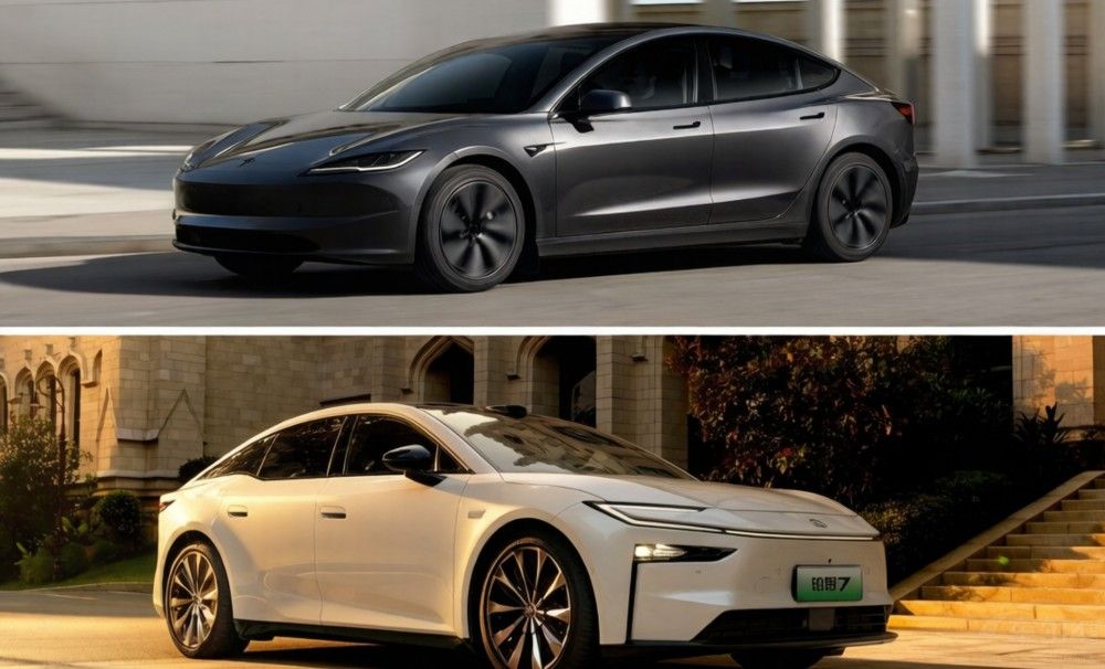 ����7�Ա���˹��Model 3 ˭����������Ž�