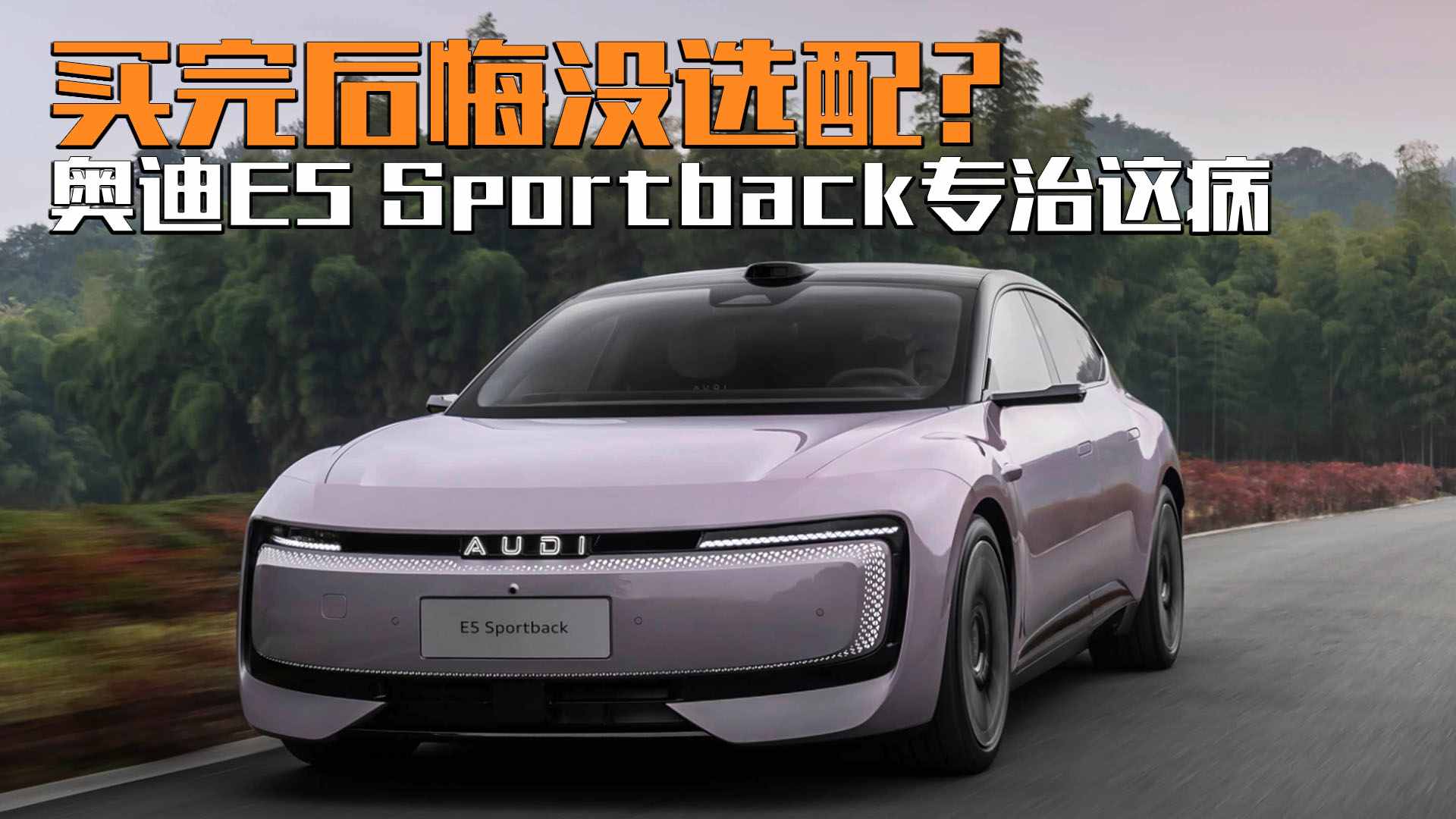 奥迪E5 Sportback,是选个性还是选性价比?