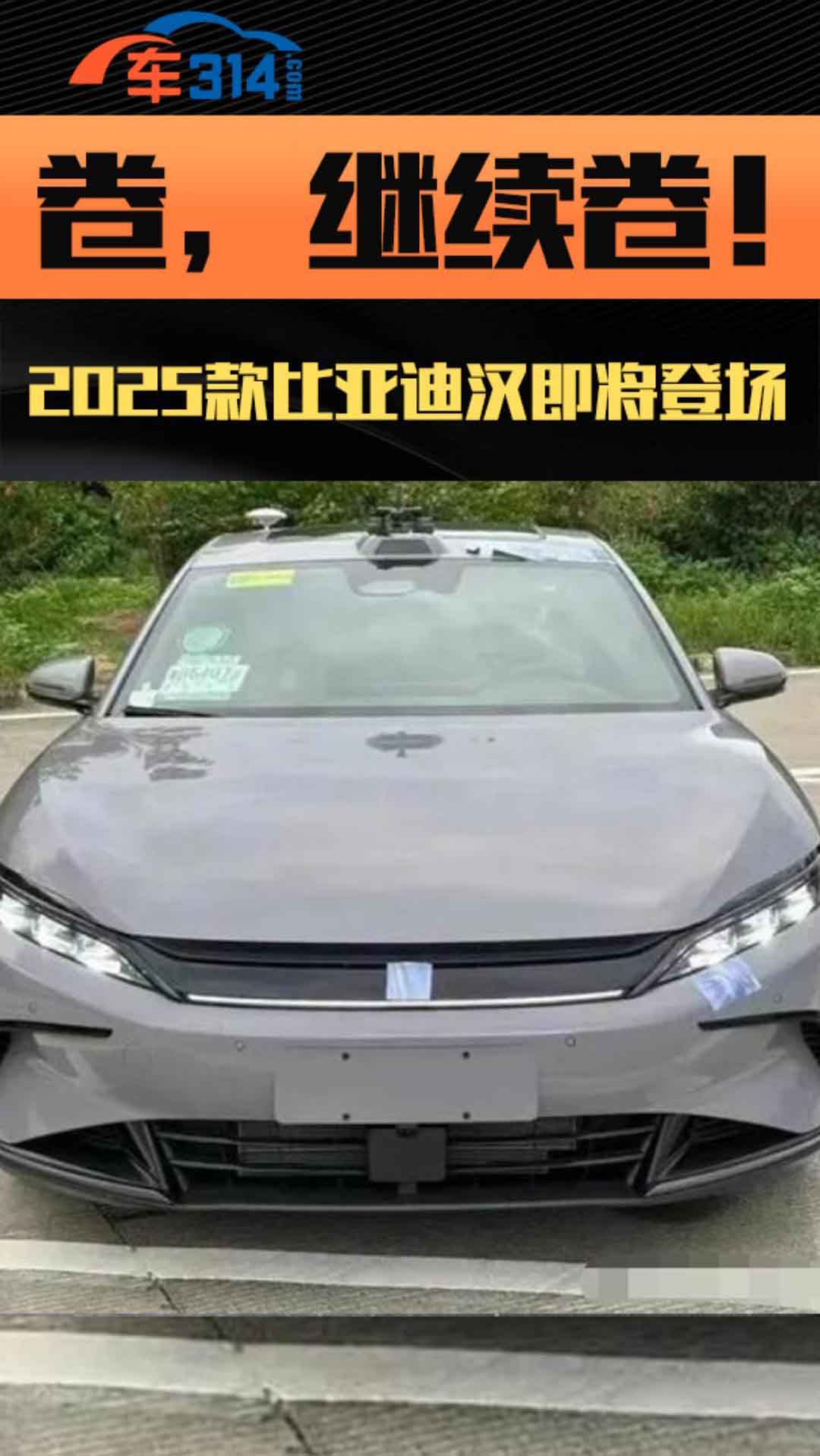 2025ǵϺϵϾ͵