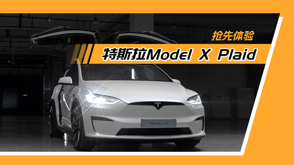 ˹Model X Plaidحû